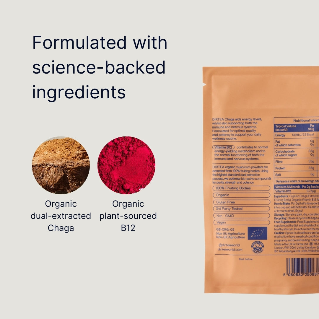 Chaga Mushroom Powder (60g Pouch)