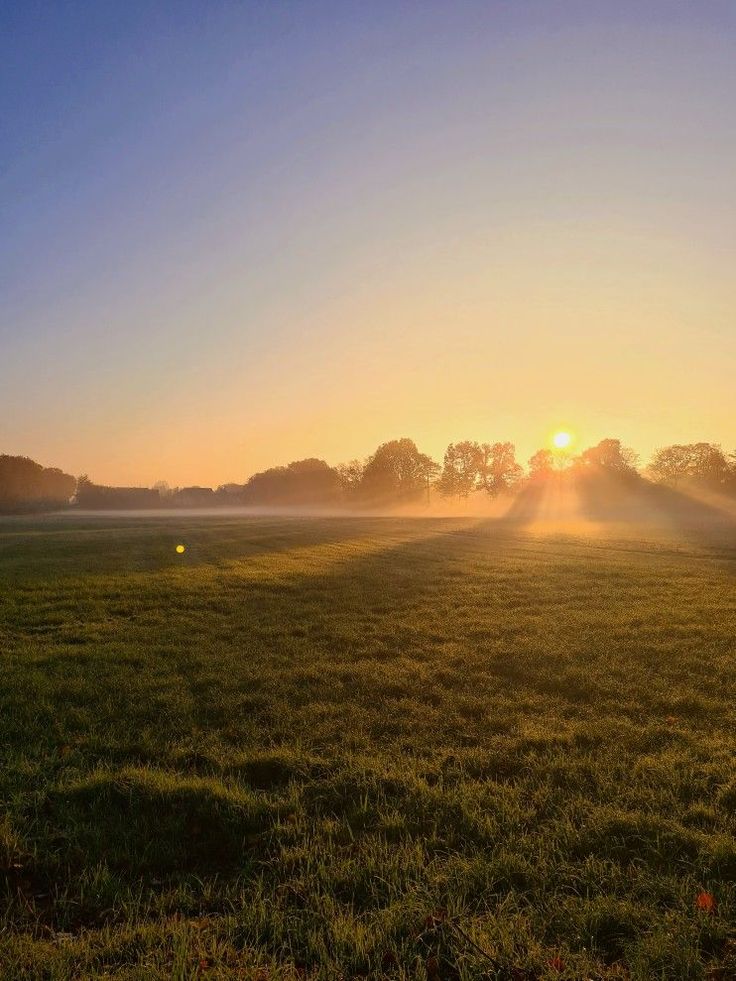 S.A.D & Seasonal Shifts: Mood, Light and Rituals for the Darker Months