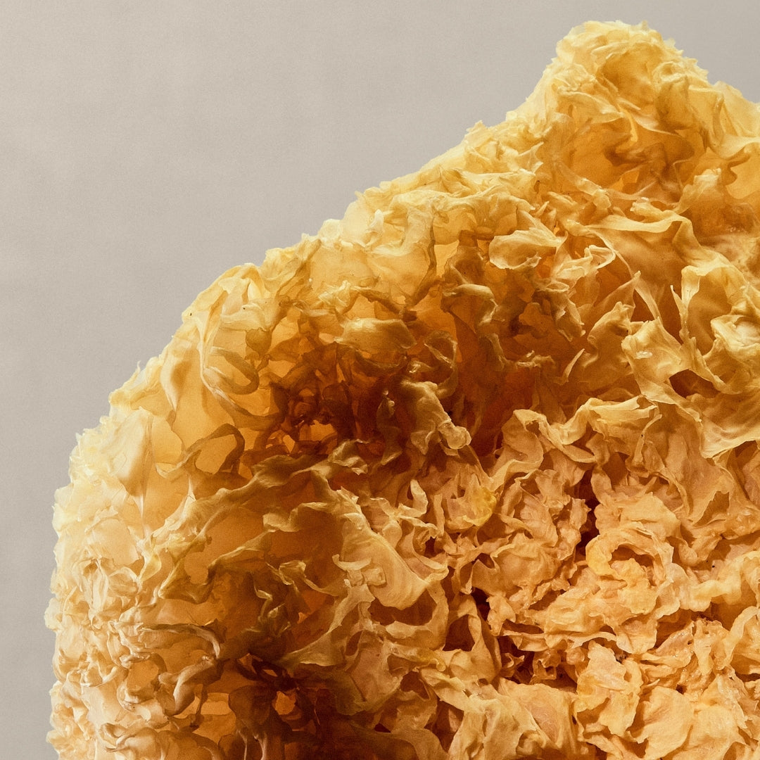 What to Look for in Functional Mushrooms