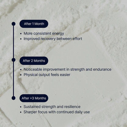 DIRTEA Essential Set