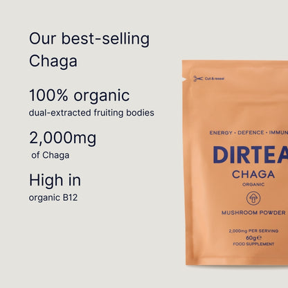 Chaga Mushroom Powder (60g Pouch)