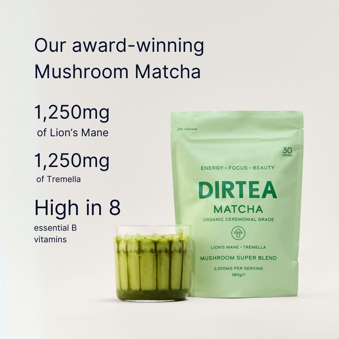 Mushroom Matcha Super Blend | DIRTEA Functional Mushrooms