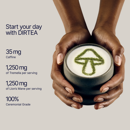 DIRTEA Matcha Gift Set