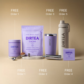 Collections – DIRTEA