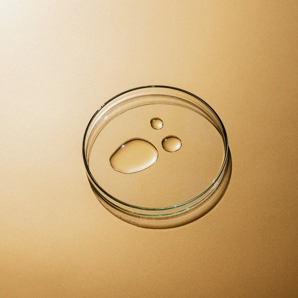 Whole-Body Maintenance