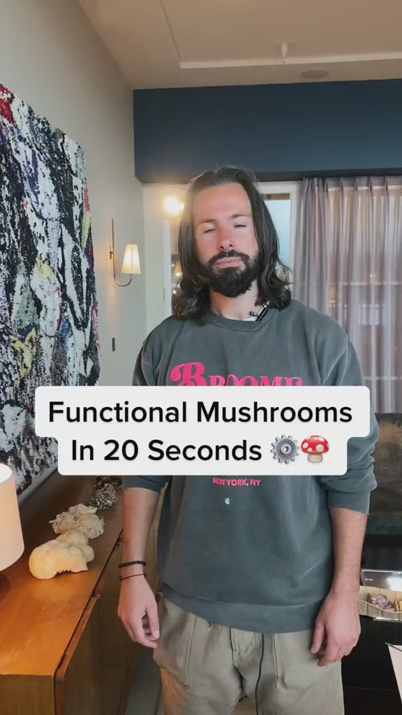 All you need to know about functional mushrooms in 20 seconds 🍄